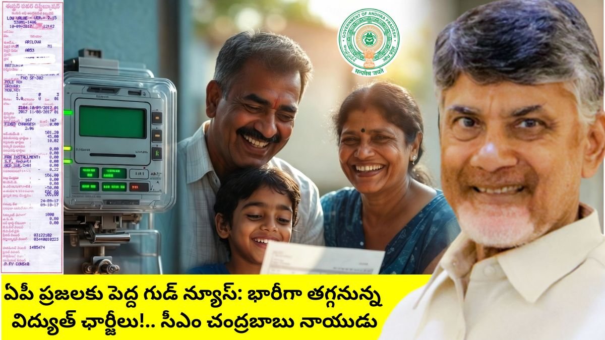 AP Electricity Charges Reduction CM Chandrababu Statement